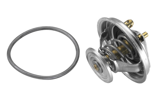 BorgWarner (Wahler) Thermostat, Kühlmittel