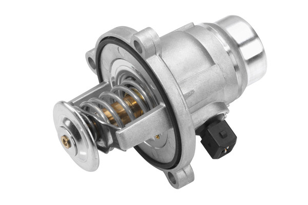 BorgWarner (Wahler) Thermostat, Kühlmittel