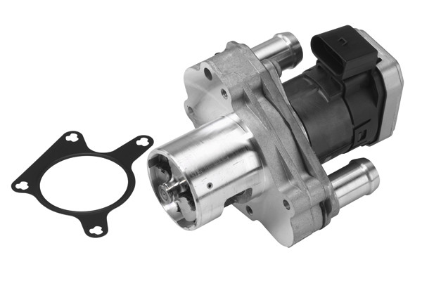 BorgWarner (Wahler) AGR-Ventil