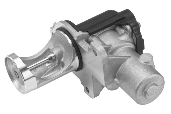 BorgWarner (Wahler) AGR-Ventil