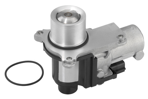 BorgWarner (Wahler) AGR-Ventil