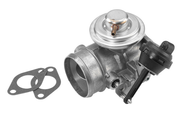 BorgWarner (Wahler) AGR-Ventil