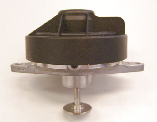 BorgWarner (Wahler) AGR-Ventil