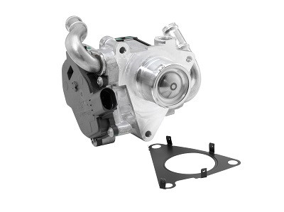 BorgWarner (Wahler) AGR-Ventil
