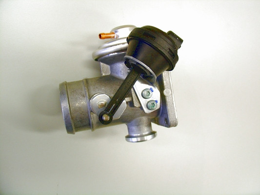 BorgWarner (Wahler) AGR-Ventil