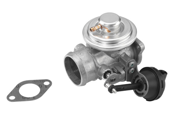 BorgWarner (Wahler) AGR-Ventil
