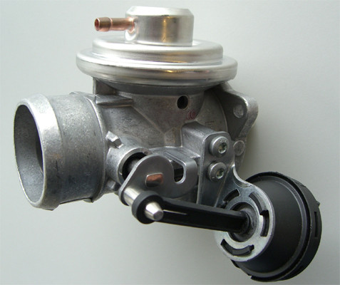 BorgWarner (Wahler) AGR-Ventil