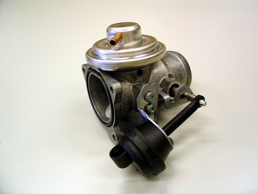 BorgWarner (Wahler) AGR-Ventil