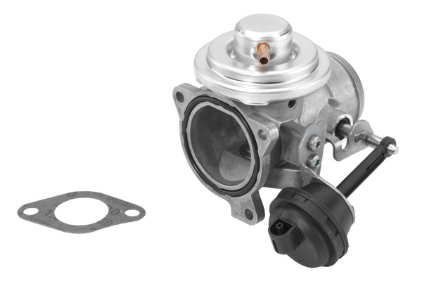 BorgWarner (Wahler) AGR-Ventil