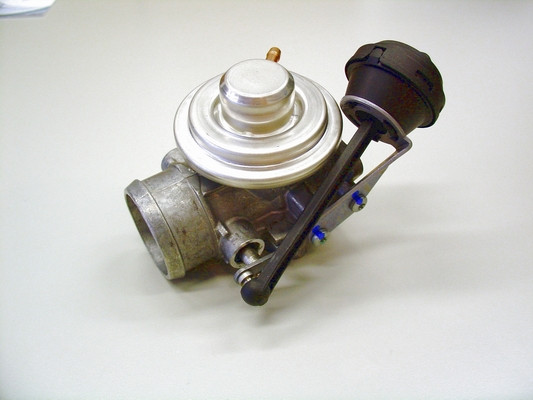 BorgWarner (Wahler) AGR-Ventil