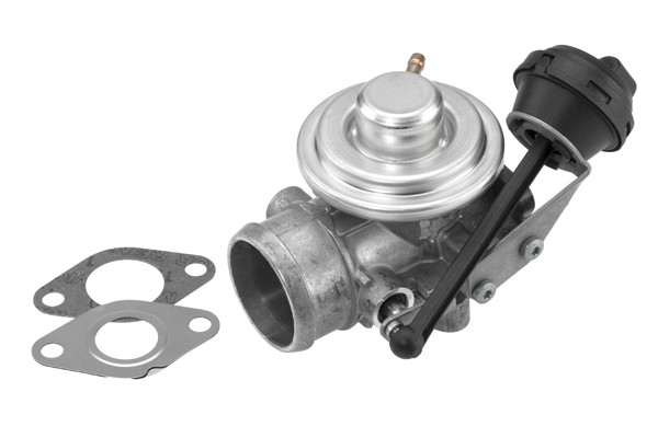 BorgWarner (Wahler) AGR-Ventil