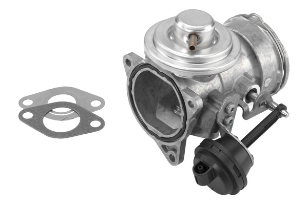 BorgWarner (Wahler) AGR-Ventil