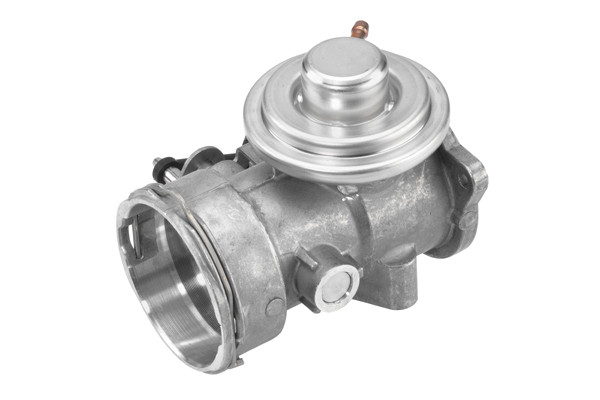 BorgWarner (Wahler) AGR-Ventil