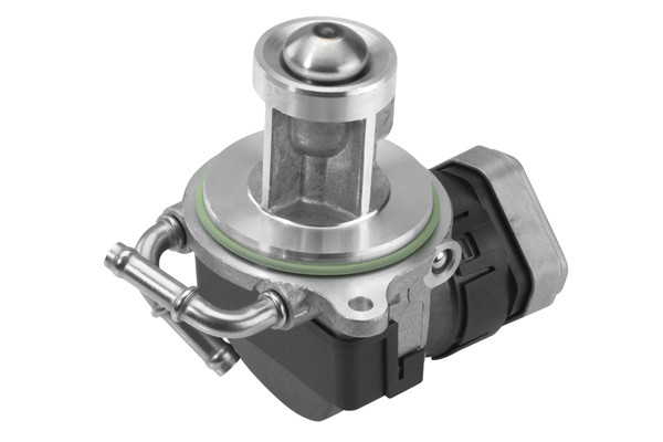 BorgWarner (Wahler) AGR-Ventil