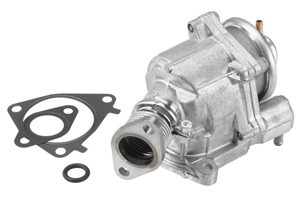 BorgWarner (Wahler) AGR-Ventil