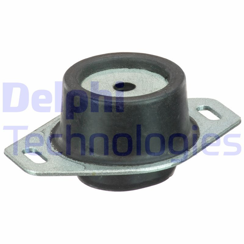 DELPHI Lagerung, Motor DELPHI Lagerung, Motor