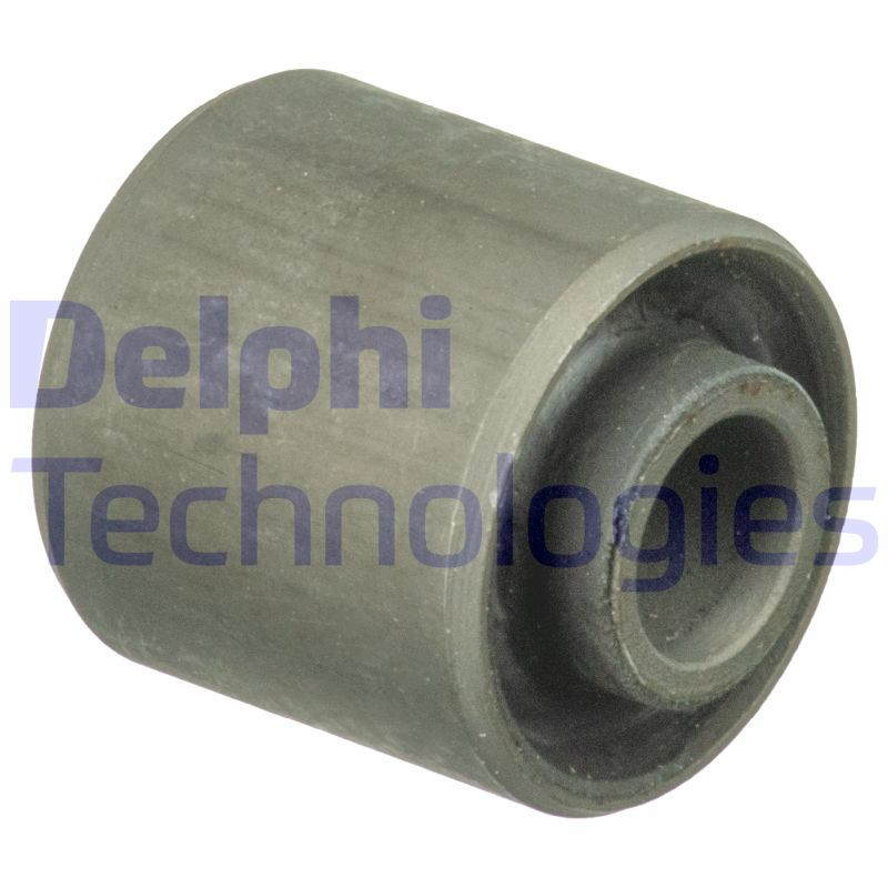 DELPHI Lagerung, Motor