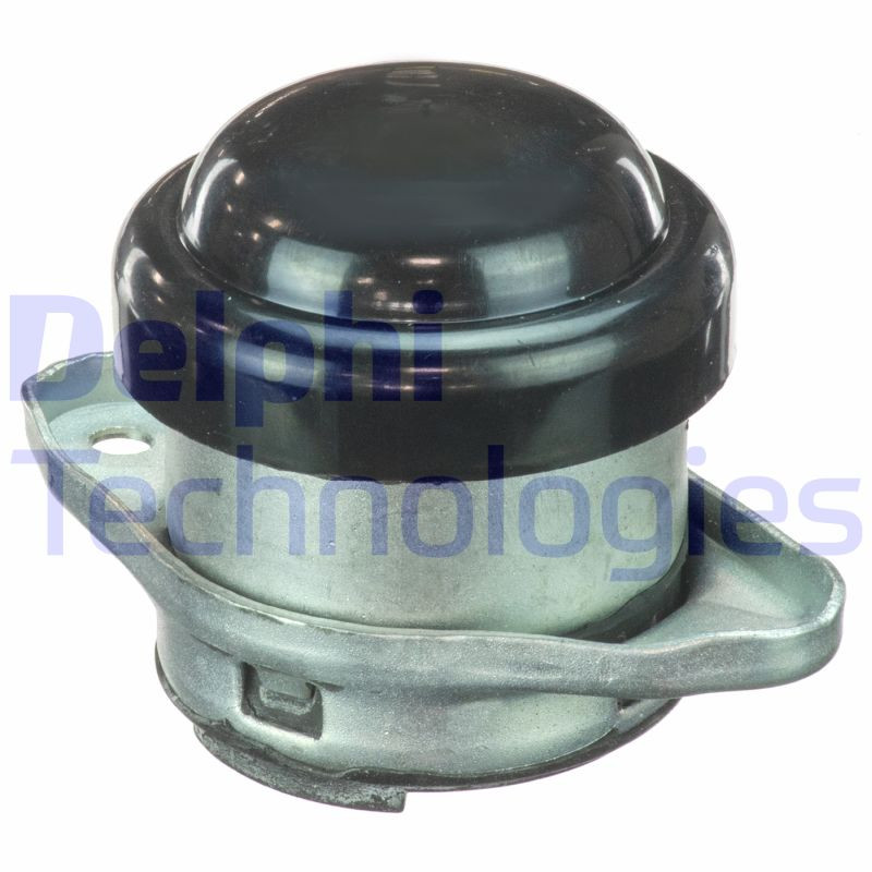 DELPHI Lagerung, Motor