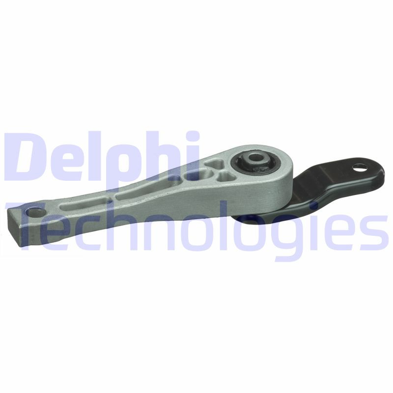 DELPHI Lagerung, Motor DELPHI Lagerung, Motor