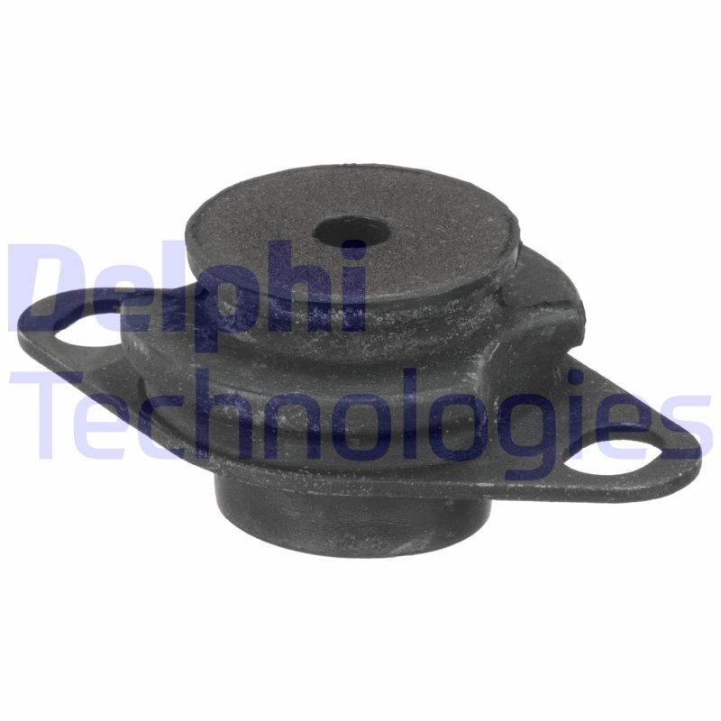 DELPHI Lagerung, Motor