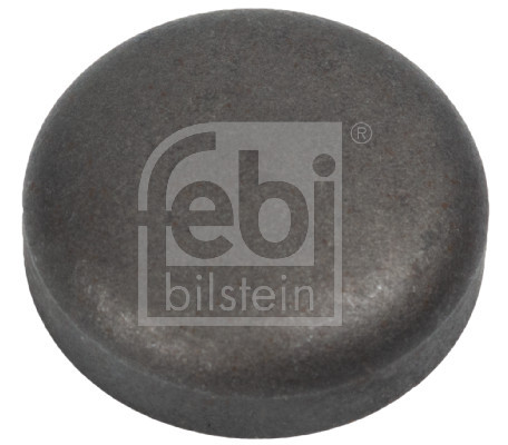 FEBI BILSTEIN Froststopfen