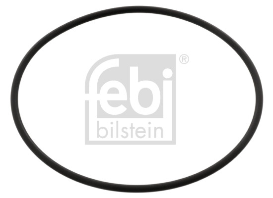 FEBI BILSTEIN Dichtung, Wasserpumpe