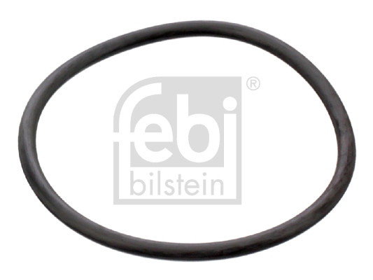 FEBI BILSTEIN Dichtung, Thermostat