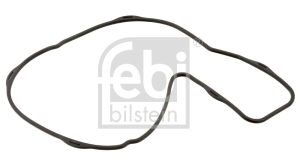 FEBI BILSTEIN Dichtung, Wasserpumpe