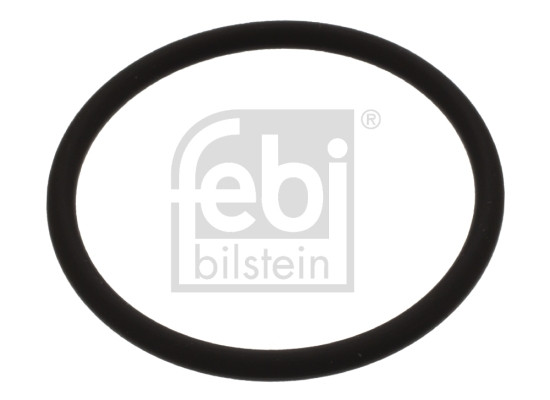 FEBI BILSTEIN Dichtring, Düsenschacht