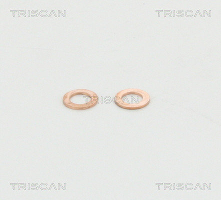 TRISCAN Bremsschlauch