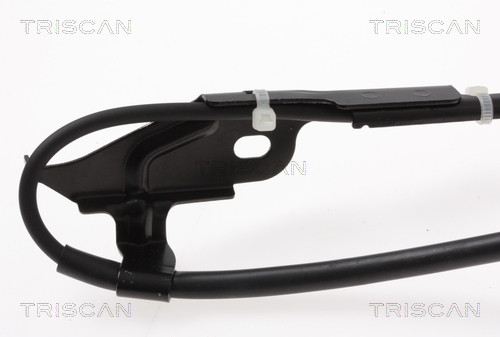 TRISCAN Bremsschlauch
