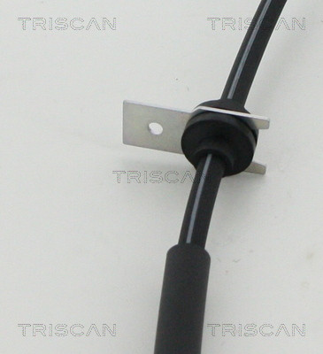 TRISCAN Bremsschlauch