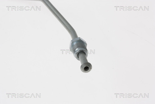 TRISCAN Bremsschlauch