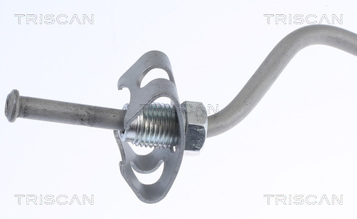 TRISCAN Bremsschlauch