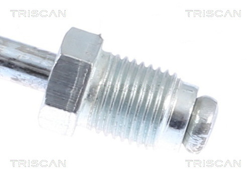 TRISCAN Bremsschlauch
