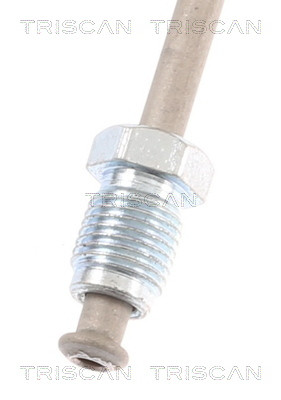 TRISCAN Bremsschlauch