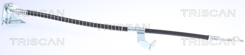 TRISCAN Bremsschlauch