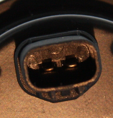 TRISCAN Sensor, Raddrehzahl