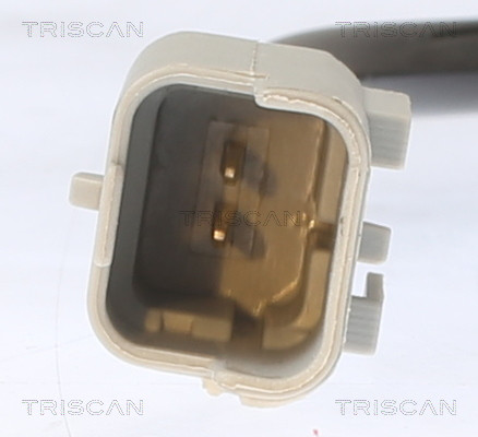 TRISCAN Sensor, Raddrehzahl