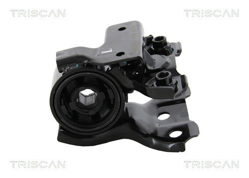 TRISCAN Lagerung, Lenker