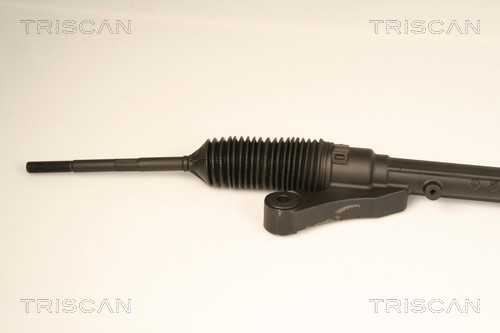 TRISCAN Lenkgetriebe