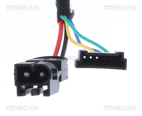 TRISCAN Gasfeder, Koffer-/Laderaum