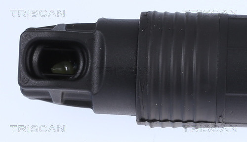 TRISCAN Gasfeder, Koffer-/Laderaum