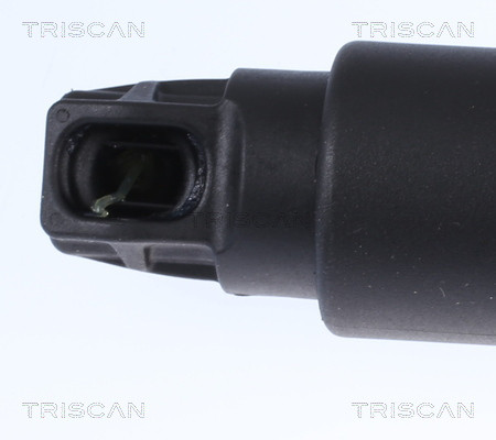 TRISCAN Gasfeder, Koffer-/Laderaum