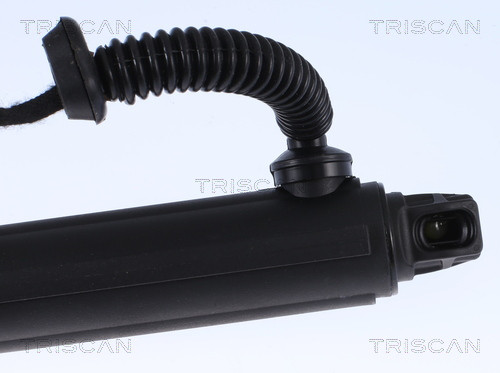 TRISCAN Gasfeder, Koffer-/Laderaum