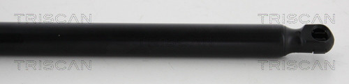 TRISCAN Gasfeder, Koffer-/Laderaum