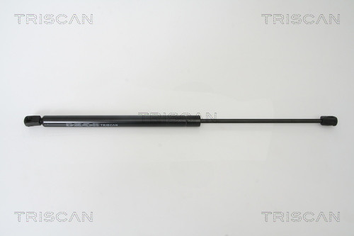 TRISCAN Gasfeder, Koffer-/Laderaum