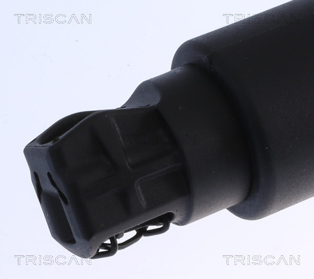 TRISCAN Gasfeder, Koffer-/Laderaum