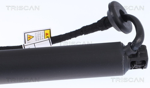 TRISCAN Gasfeder, Koffer-/Laderaum