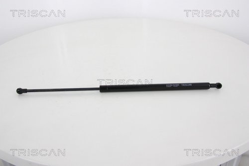TRISCAN Gasfeder, Koffer-/Laderaum